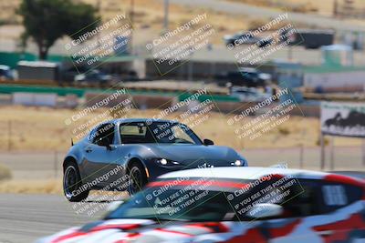 media/Mar-08-2025-Extreme Speed (Sat) [[4abb97269e]]/Purple/Turns 2  and  4 (Session 2)/